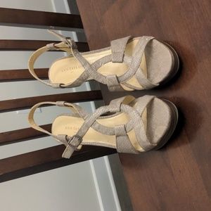 Ann Taylor wedges